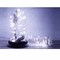 RAHEEV; 20 LED Battery Copper Wire Fairy Lights Warm Cool White Twinkle; Category:String Lights; Image:2